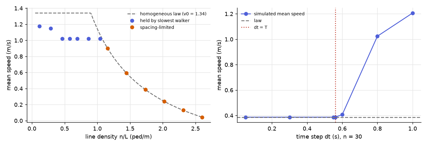 Left: 13 ring runs against the homogeneous law. Right: mean speed against dt at n = 30.