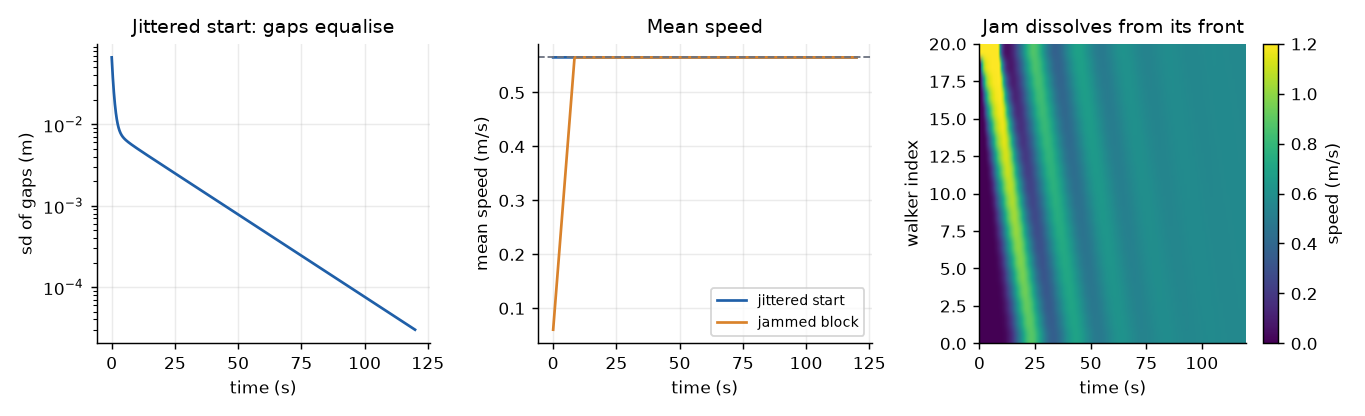Gap spread relaxing from a jittered start (left), mean speed for both starts (middle), speed of each walker after a jammed start (right).